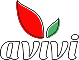 AVIVI logo